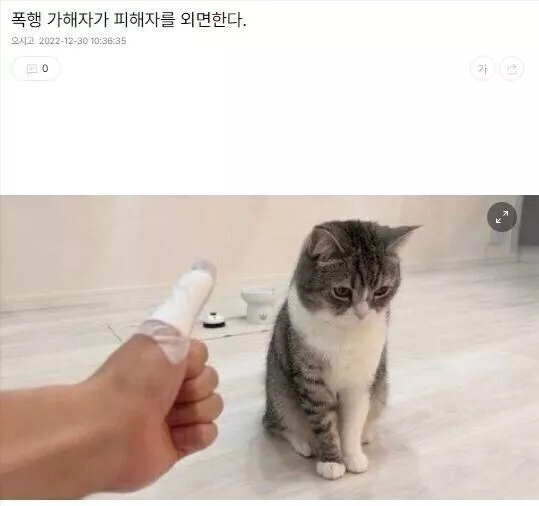 본문 이미지